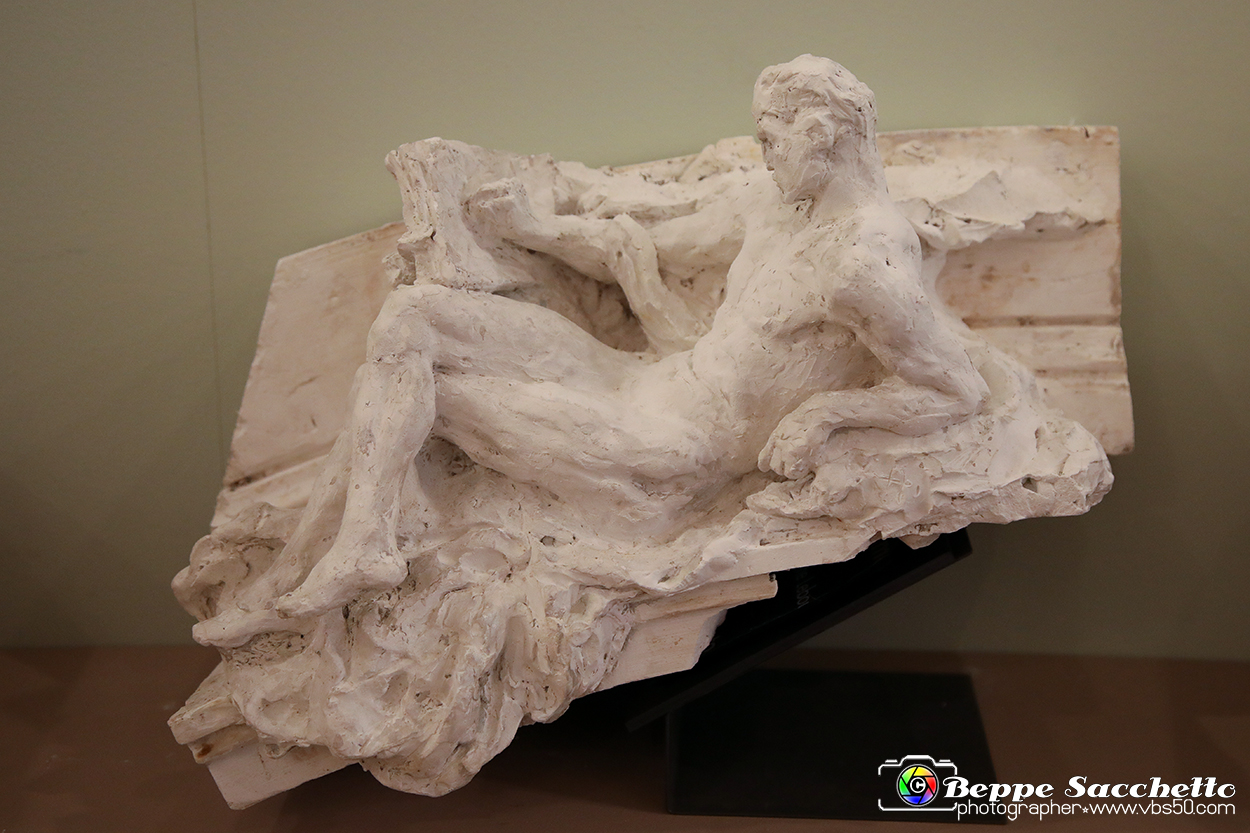 VBS_5045 - Liberty - Torino Capitale.jpg